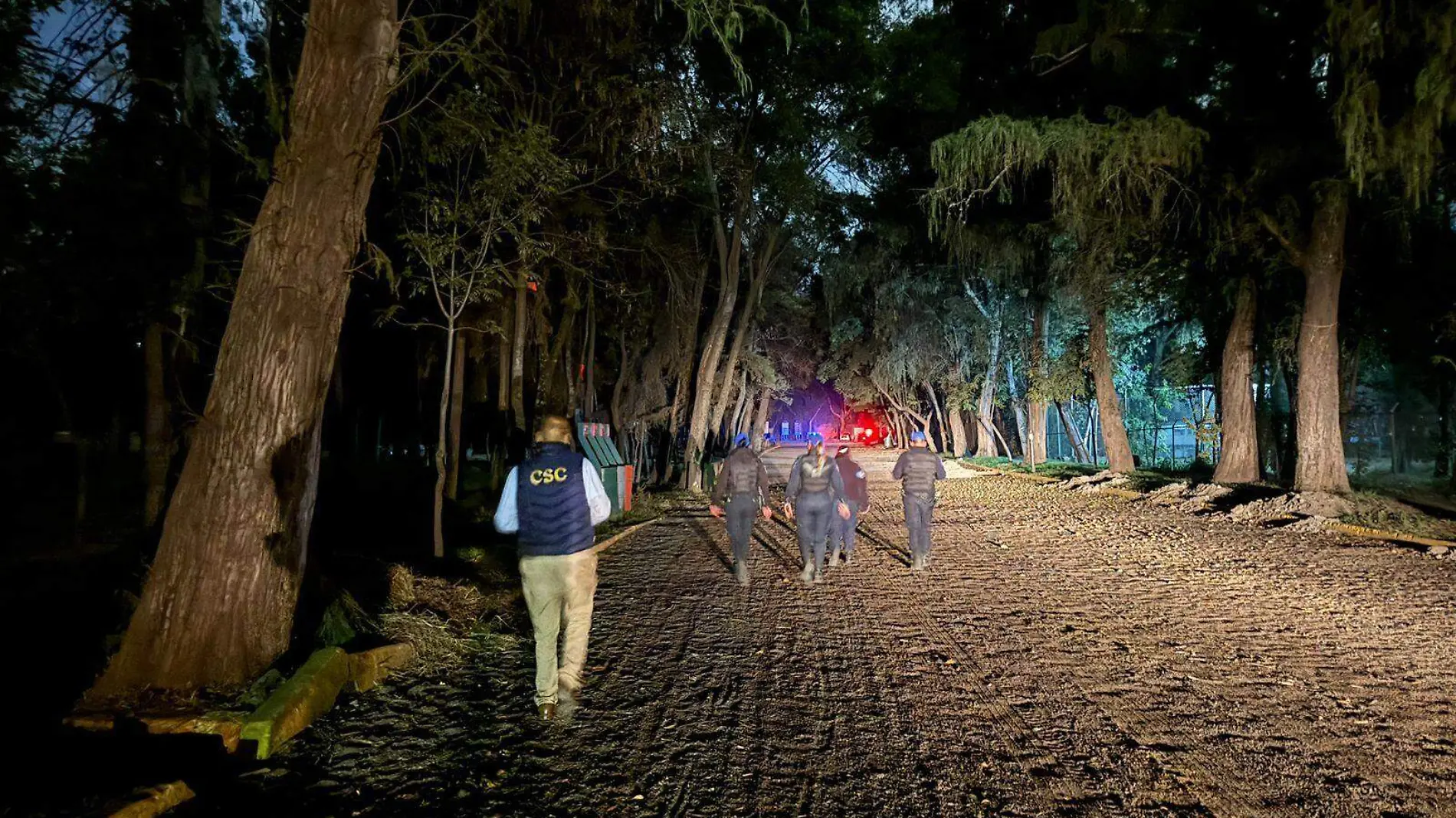 Seguridad en Bosque de Nativitas -1